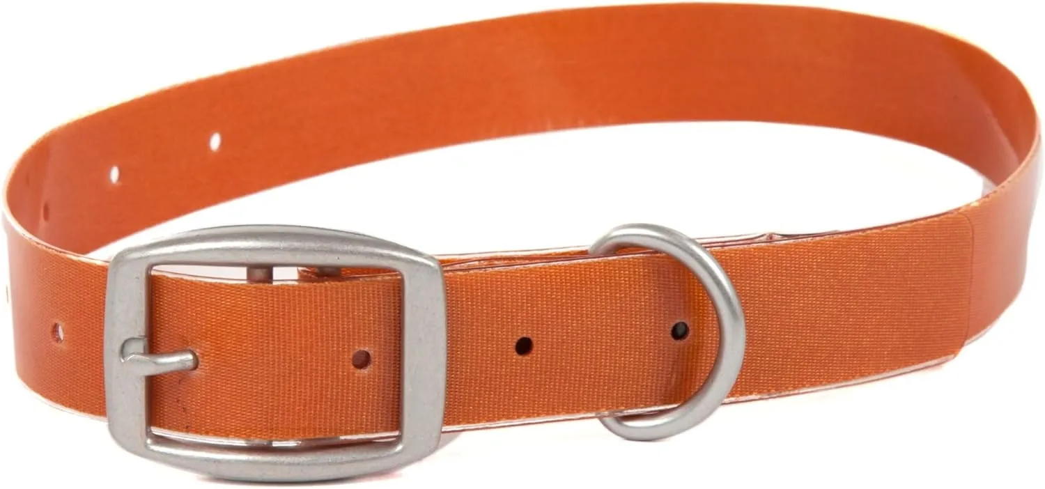 Salty Dog Collar