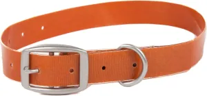 Salty Dog Collar