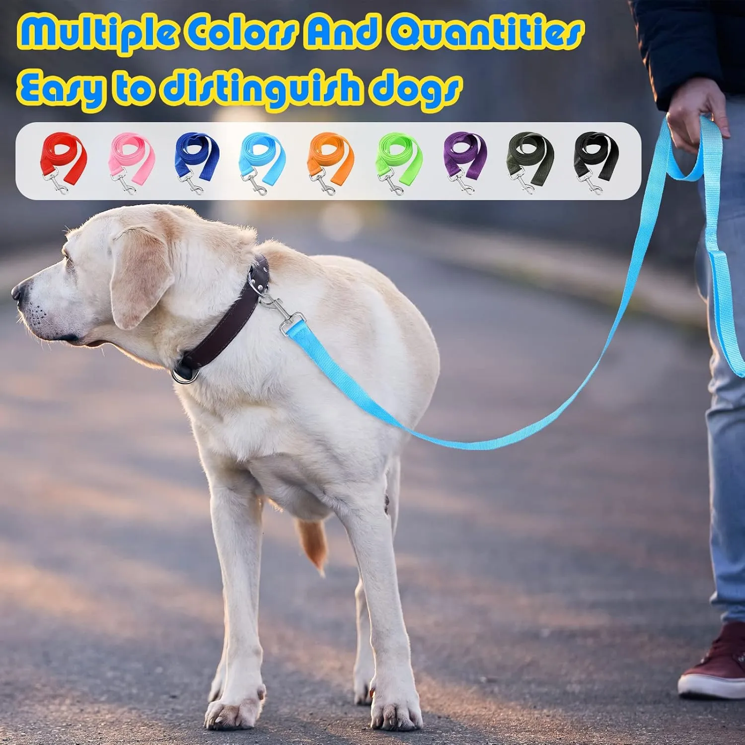 Sanwuta 9 Pack Nylon Dog Training Leash Bulk 6 ft Dog Leash for Small and Medium Puppy Traction Rope for Training, Play, Camping, or Backyard(Colorful)
