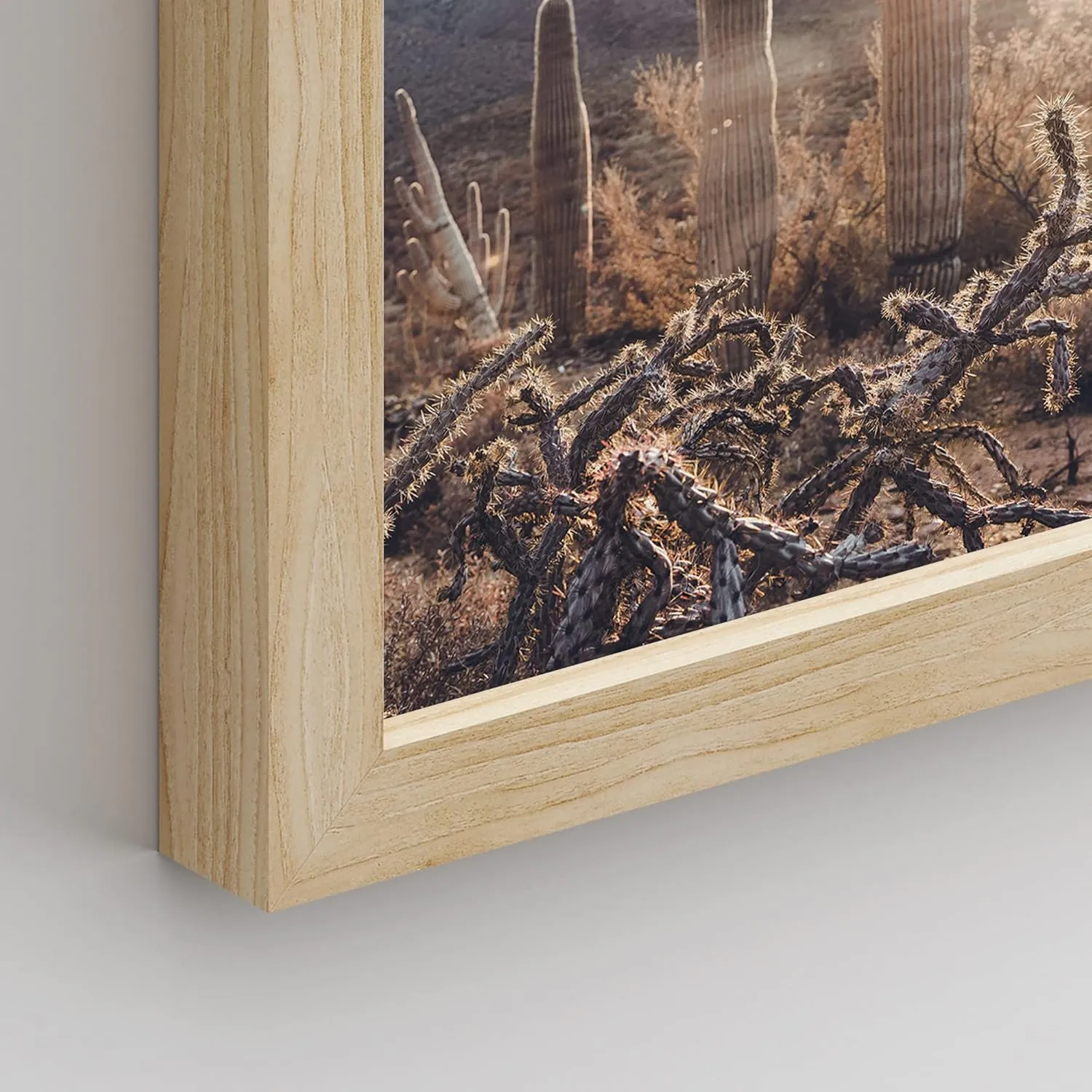 SIGNWIN Framed Cactus Desert Landscape Wall Art, Set of 4 Southwest Texas Arizona Saguaro Wall Decor Prints, Nature Wilderness Wall Décor for Living Room, Bedroom - 11"x14"x 4 Natural