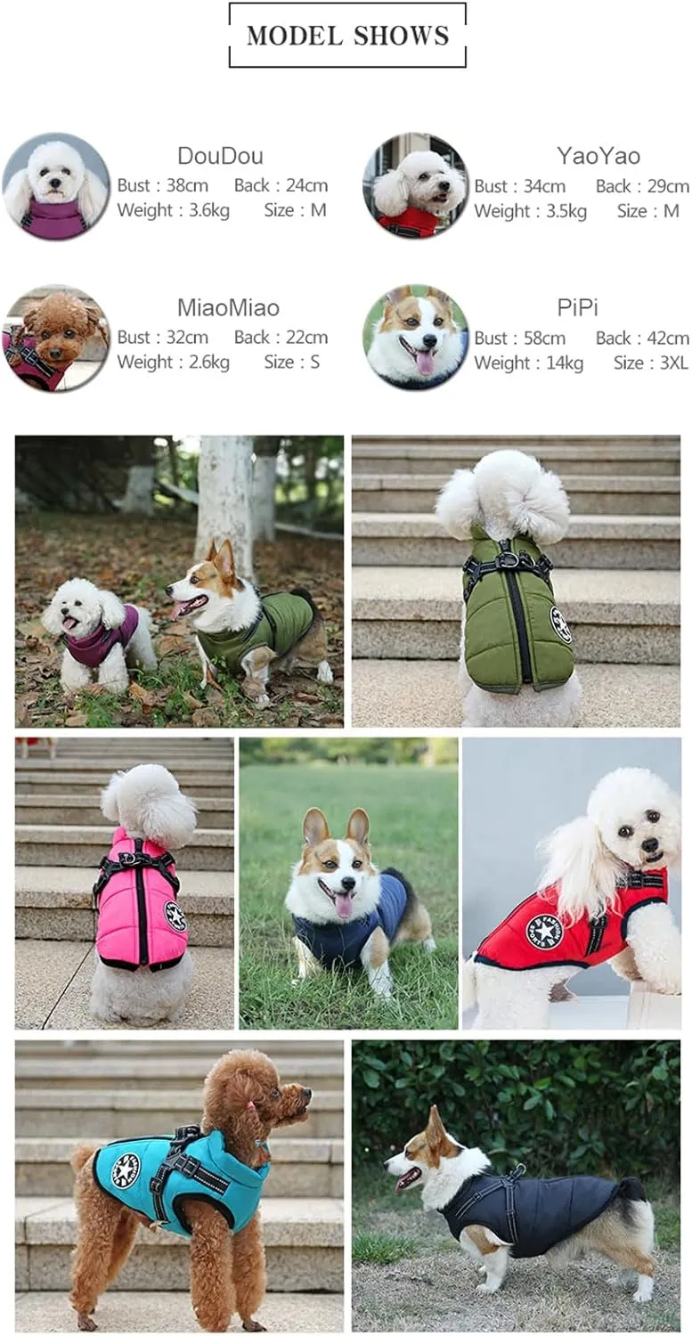 Small Dog Jacket with Harness, Outdoor Dog Sport Vest, Outdoor Warm Pet Winter Coat Harness for Cats Puppy Small Dogs, (Aqua)