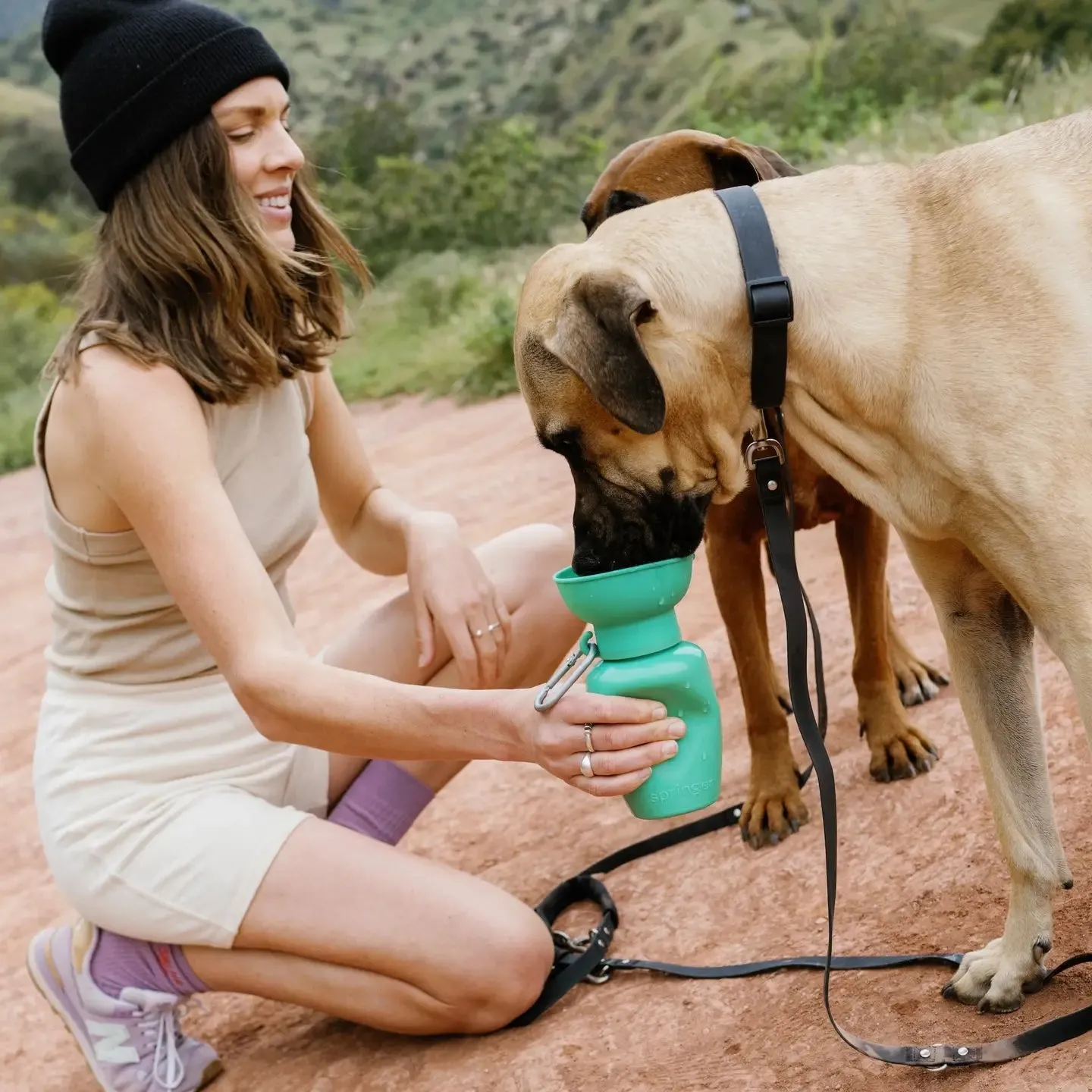Springer 20oz Dog Water Bottle