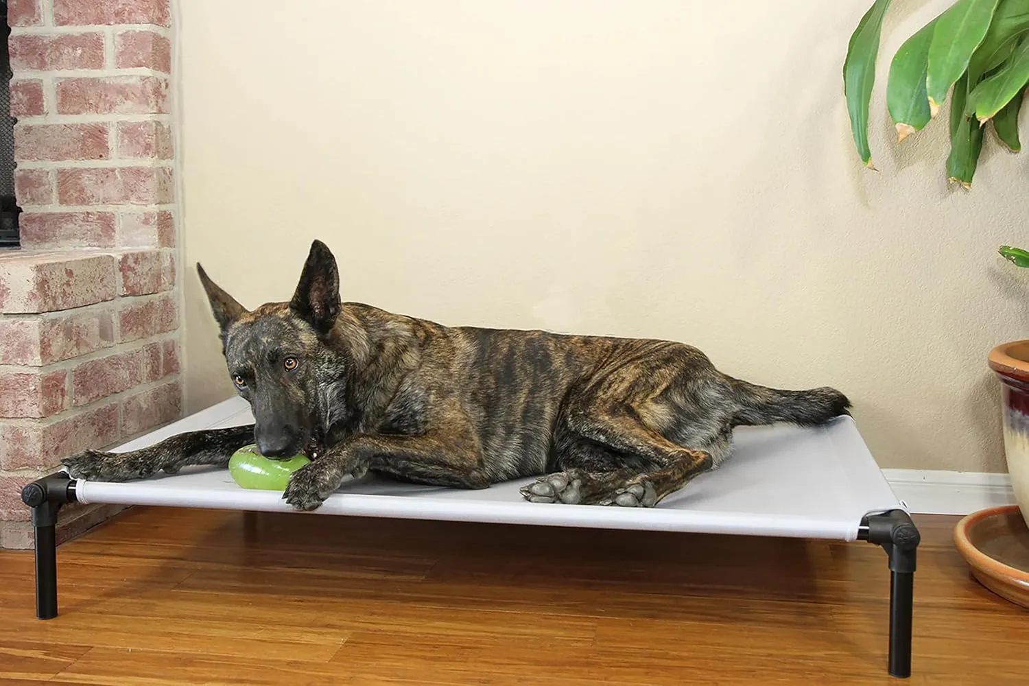 Starmark Dog Zone Bed X-Large Charcoal