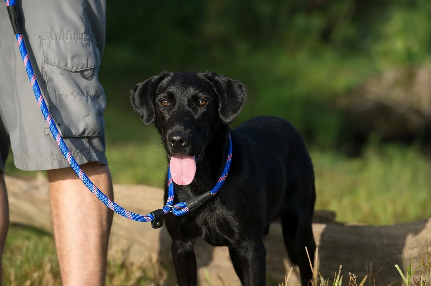 Terrain D.O.G. Rope Slip Lead