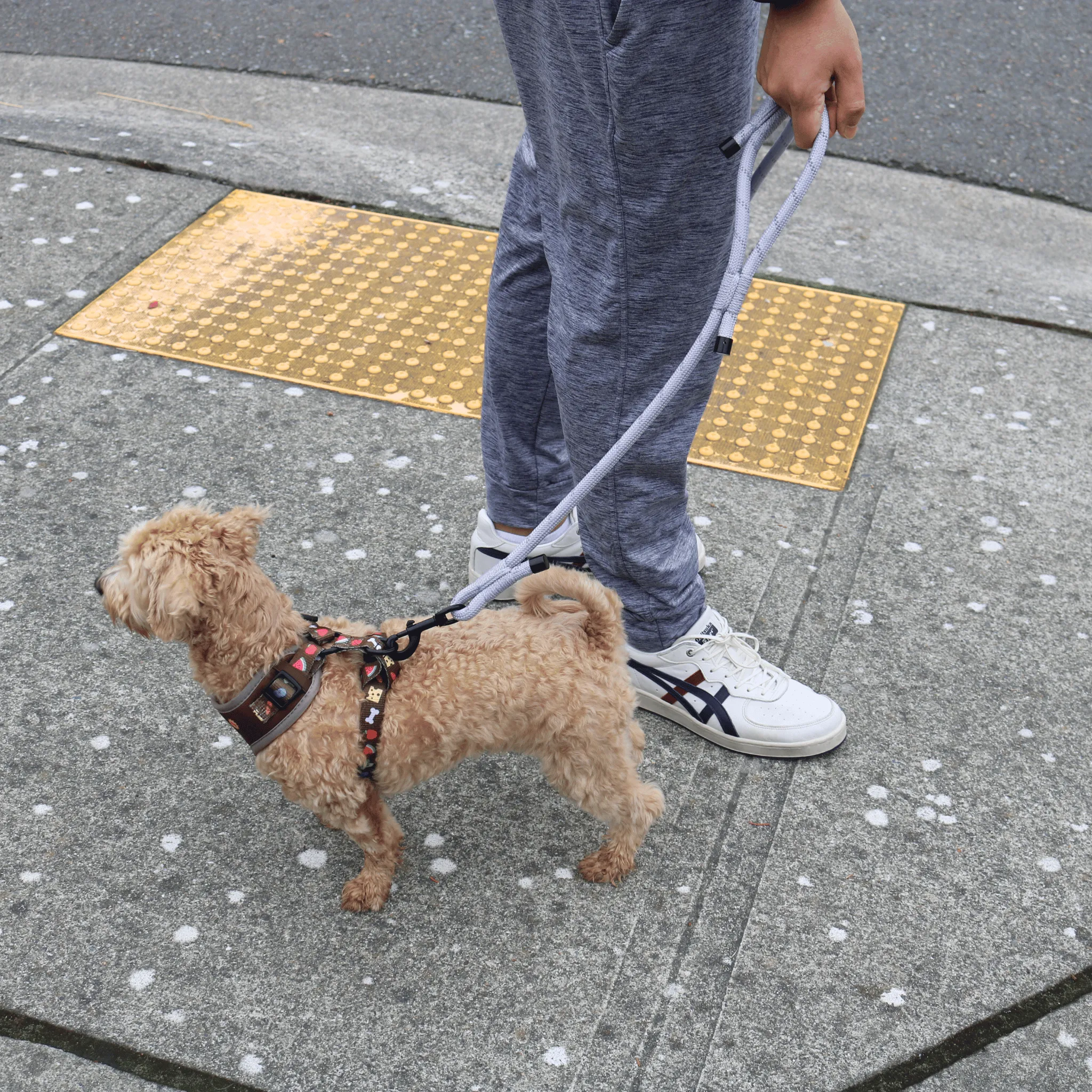 The Noodle Rope Leash with Traffic Handle | Lavender Fog