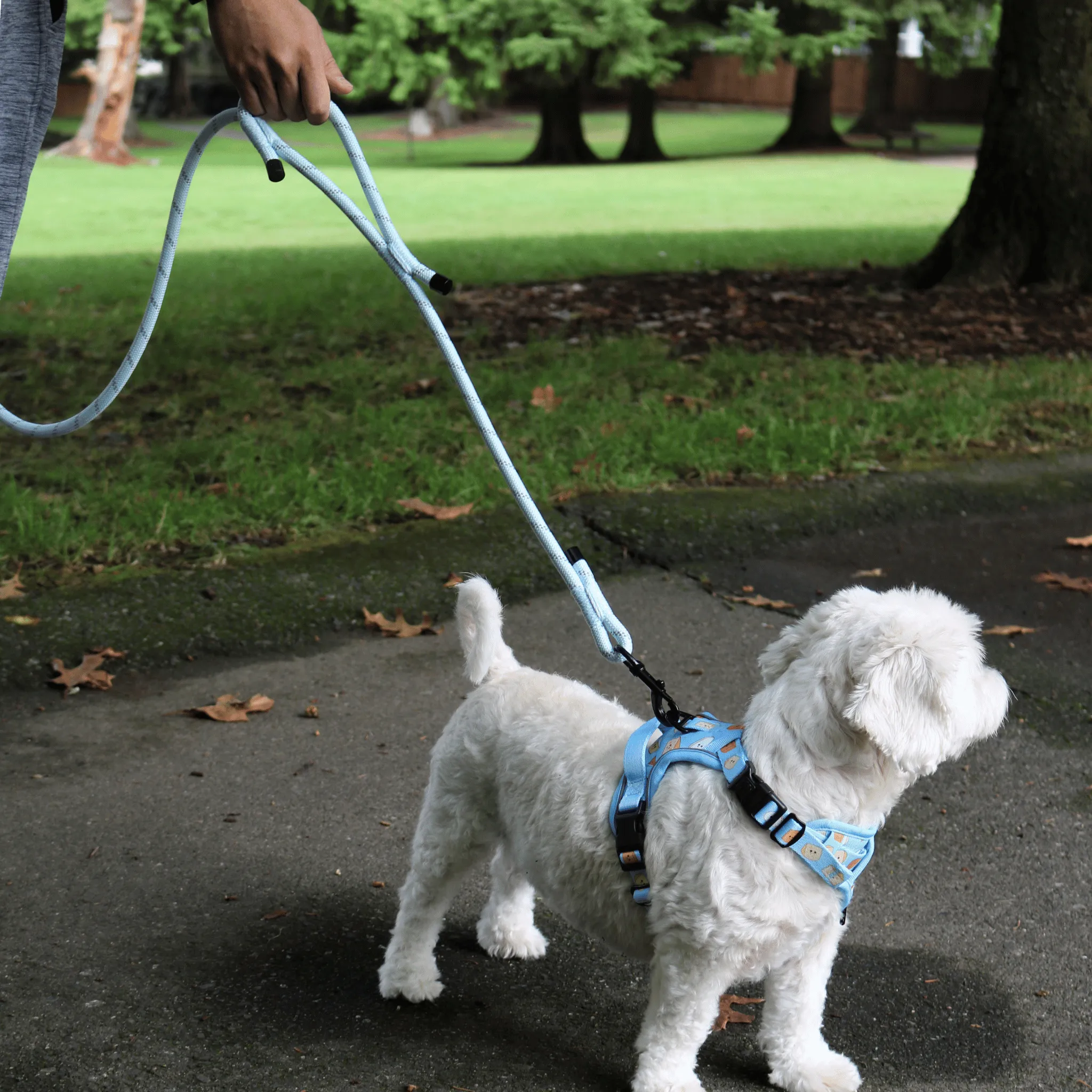 The Noodle Rope Leash with Traffic Handle | Misty Blue