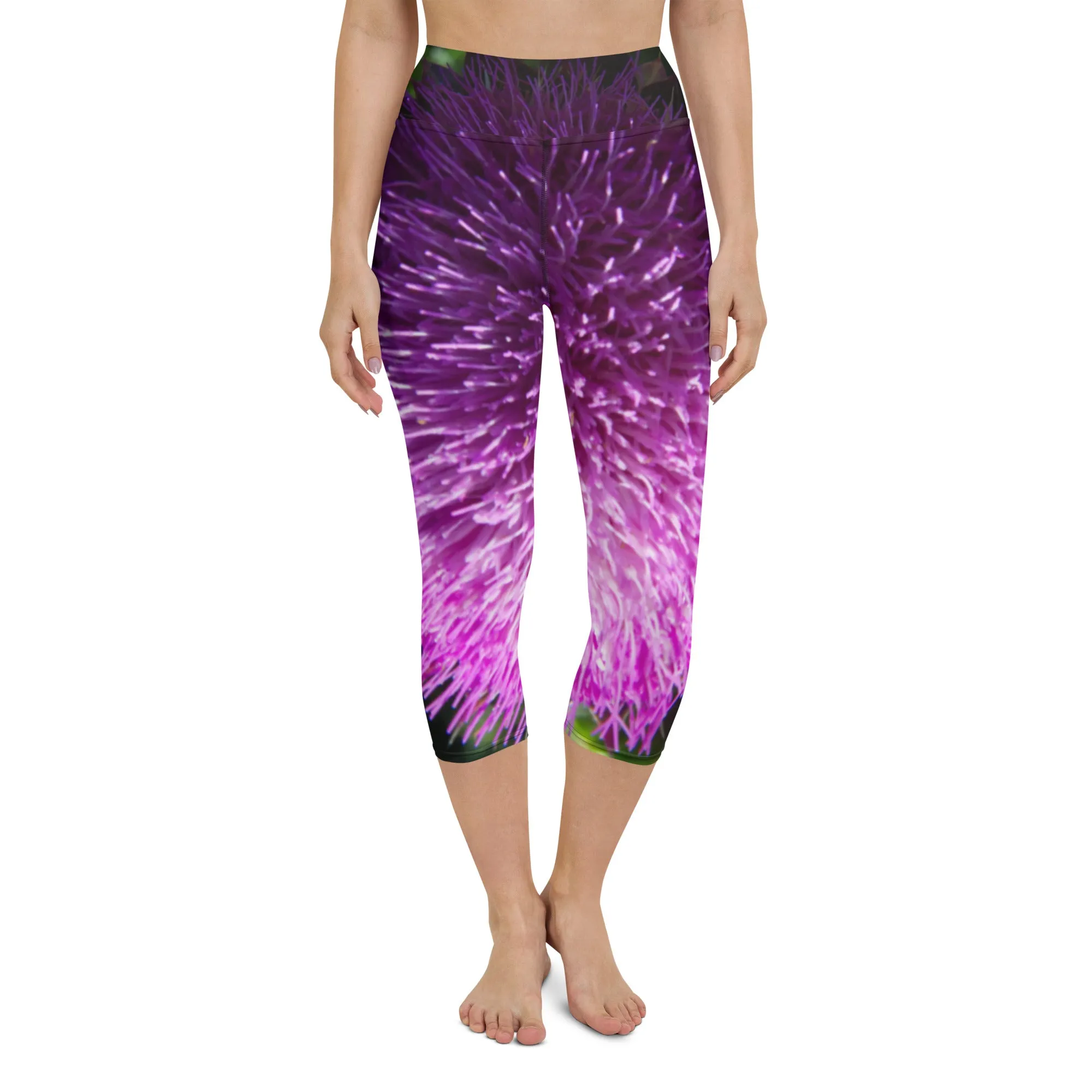 Thistle Ombre Yoga Capris