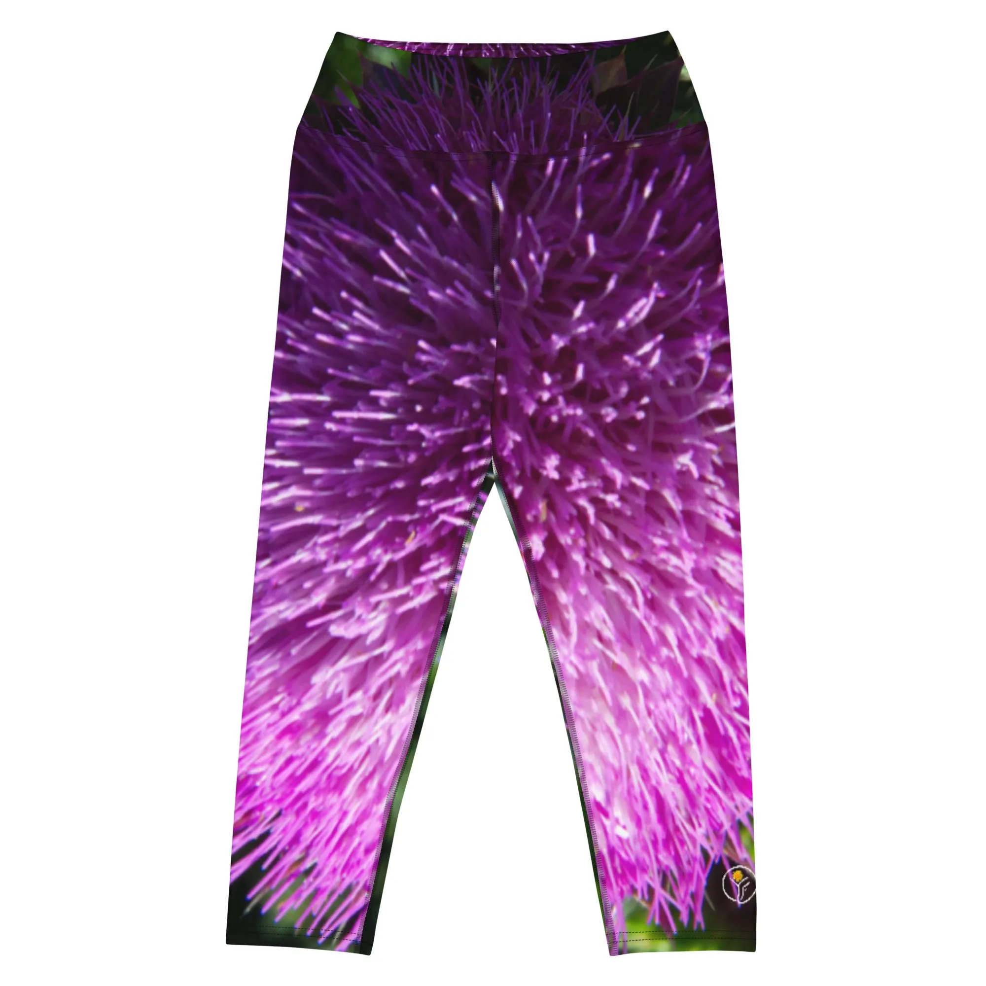 Thistle Ombre Yoga Capris