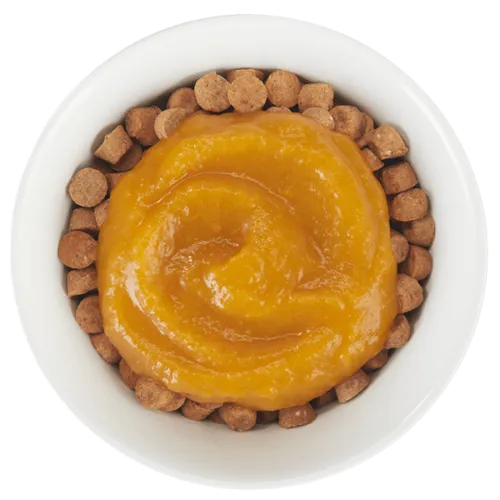 Tiki Dog™ Tummy Topper™ Pumpkin Puree & Ginger Dog Treat