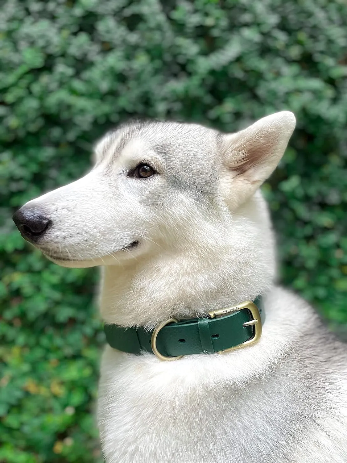 Tuff Pupper Classic Heavy Duty Dog Collar | 10x Stronger Than Leather | 100% Waterproof & Odor Proof Dog Collar | Tough Rust-Proof All Metal Hardware
