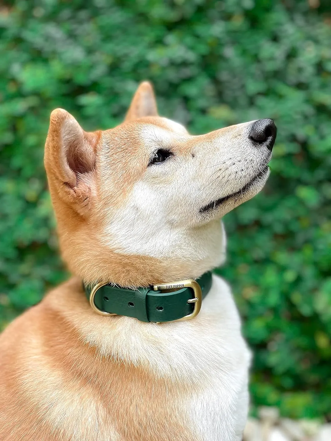 Tuff Pupper Classic Heavy Duty Dog Collar | 10x Stronger Than Leather | 100% Waterproof & Odor Proof Dog Collar | Tough Rust-Proof All Metal Hardware