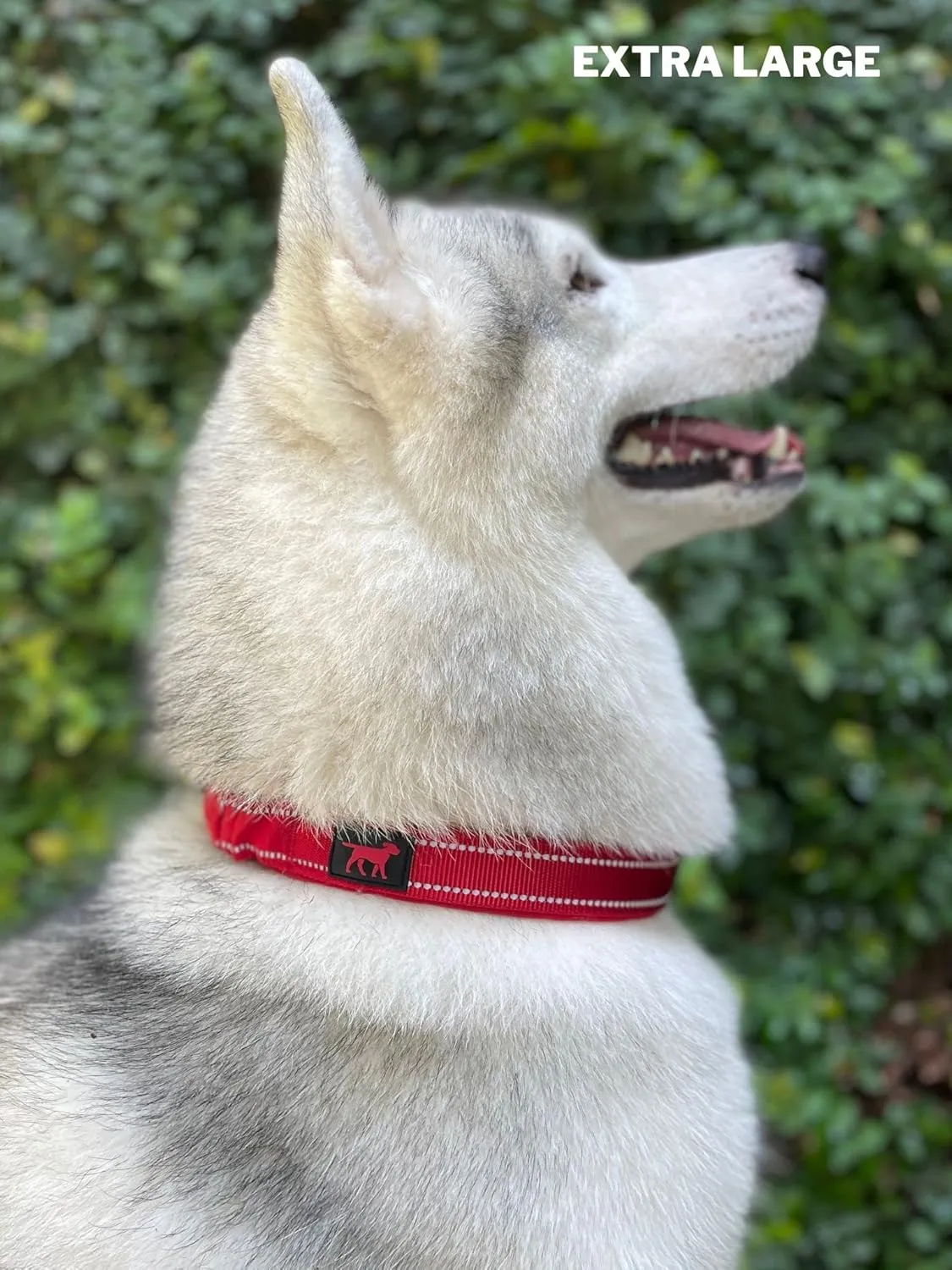 Tuff Pupper Heavy Duty Dog Collar with Handle | Ballistic Nylon Heavy Duty Collar | Padded Reflective Dog Collar with Adjustable Stainless Steel Hardware | Convenient Sizing for All Breeds