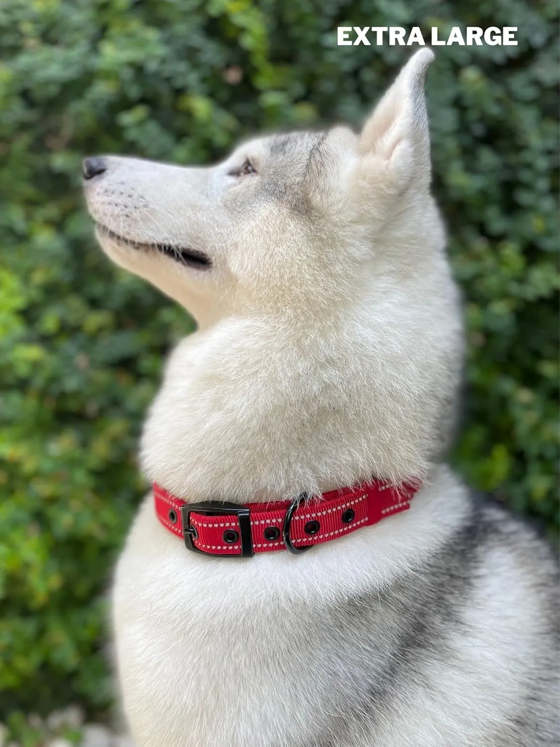 Tuff Pupper Heavy Duty Dog Collar with Handle | Ballistic Nylon Heavy Duty Collar | Padded Reflective Dog Collar with Adjustable Stainless Steel Hardware | Convenient Sizing for All Breeds