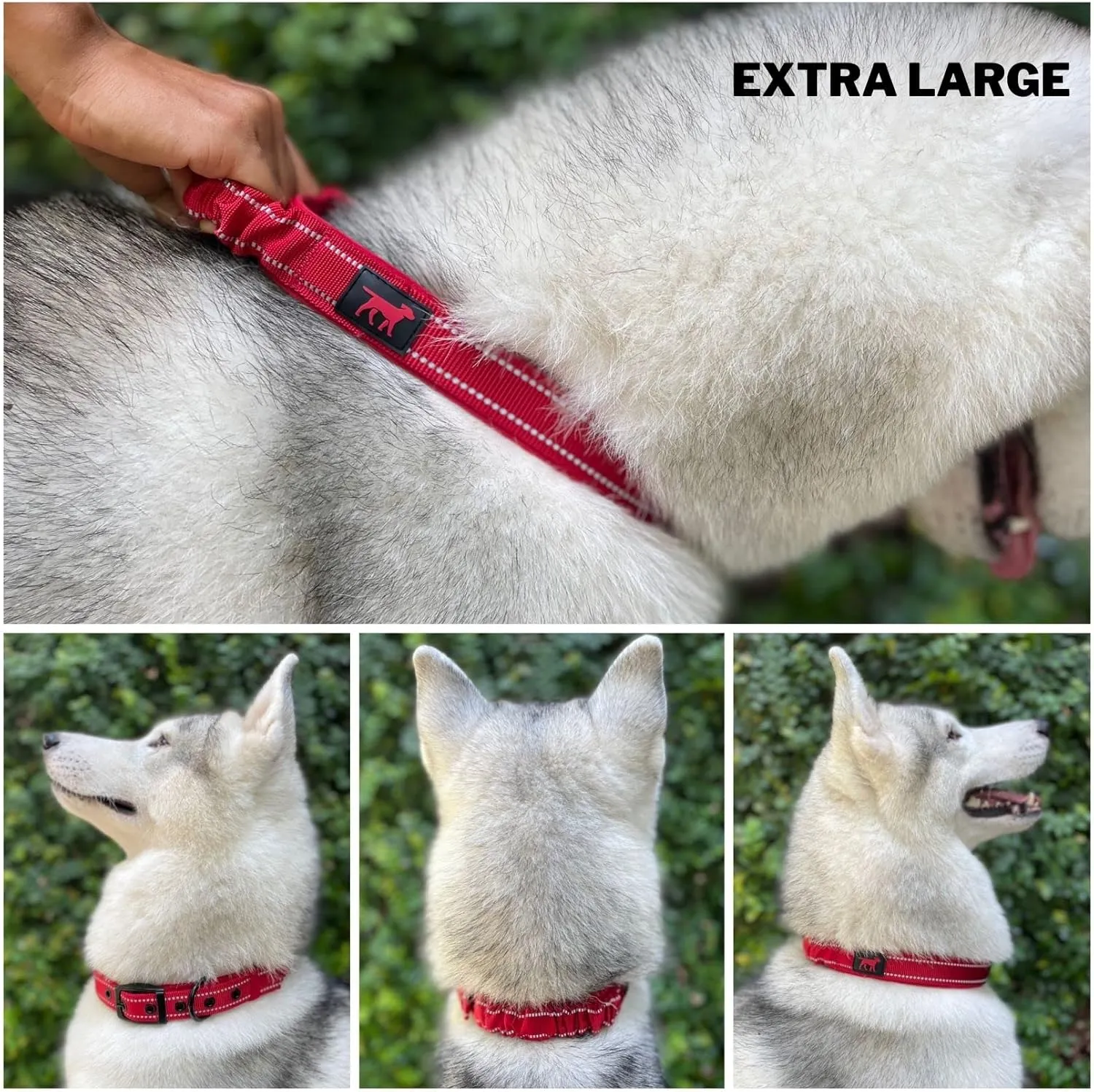 Tuff Pupper Heavy Duty Dog Collar with Handle | Ballistic Nylon Heavy Duty Collar | Padded Reflective Dog Collar with Adjustable Stainless Steel Hardware | Convenient Sizing for All Breeds