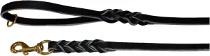 Ultra Leather Leash - Very Soft - Amish Made - Used by The Top Trainers (3/8-Inch x 6-Feet)