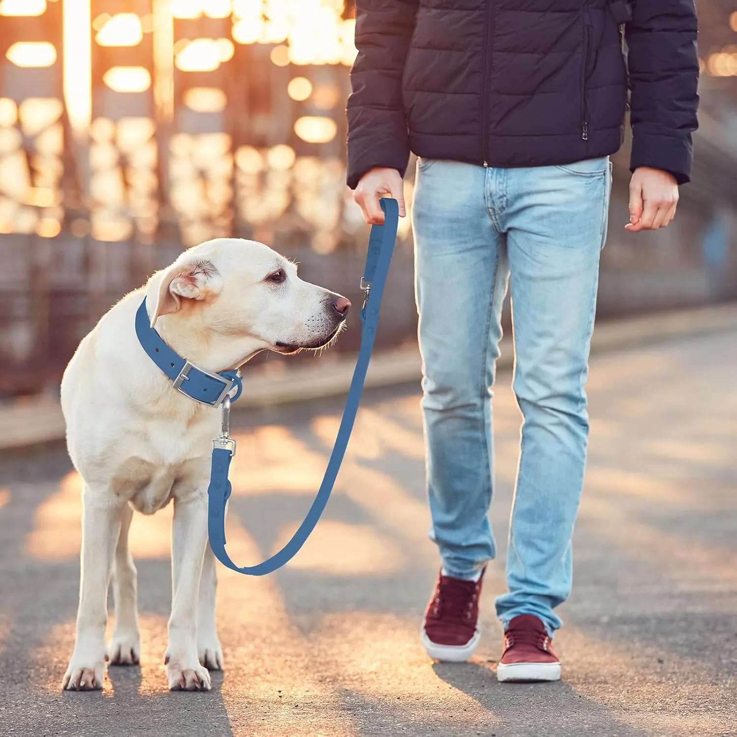 Wisedog Waterproof Standard Dog Leashes with 2 Hooks, 5 ft/ 6 ft Lengths, Adjustable for Traffic Control Safety, for Small, Medium & Large Dogs Walking (Navy,L)