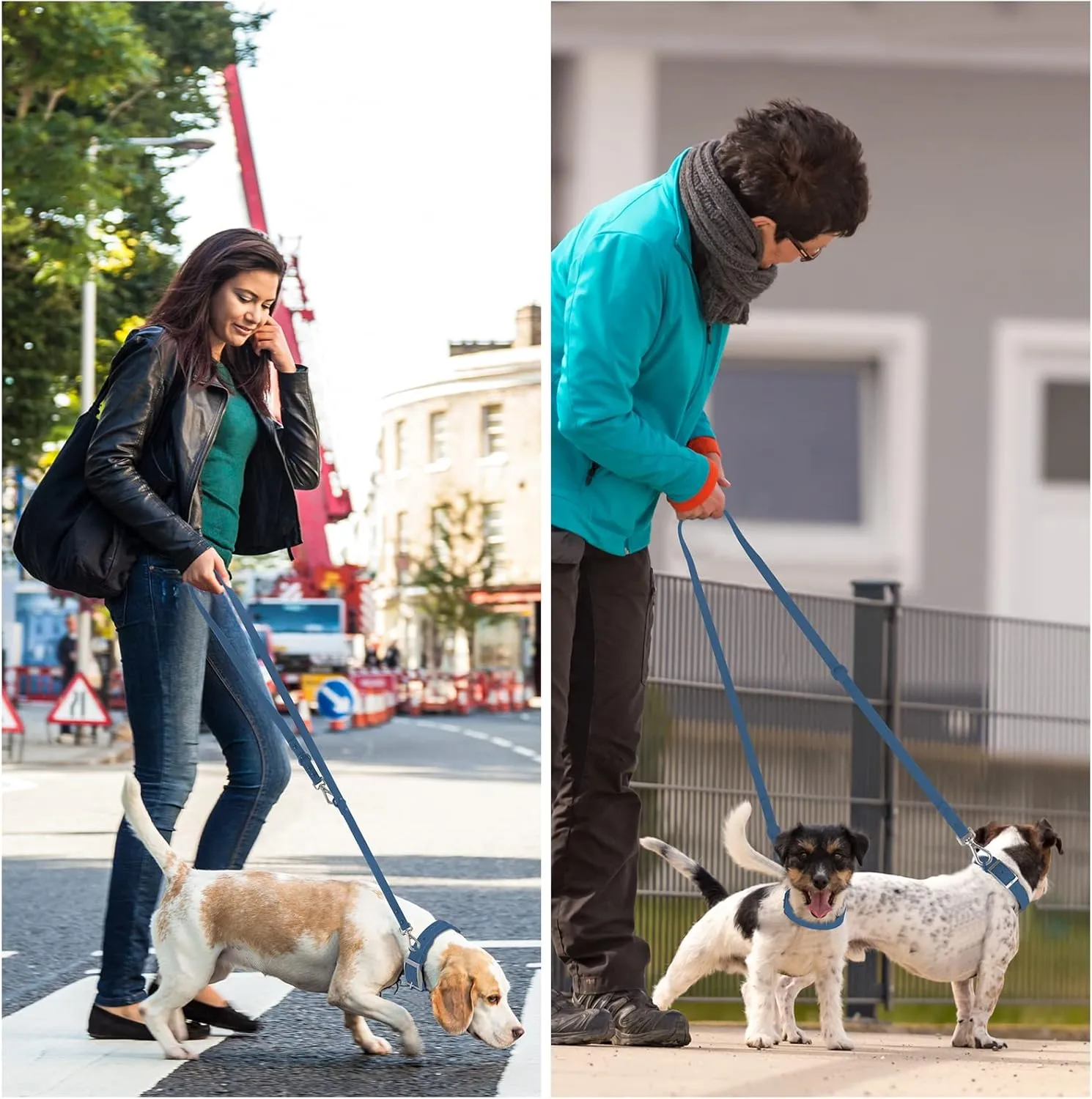 Wisedog Waterproof Standard Dog Leashes with 2 Hooks, 5 ft/ 6 ft Lengths, Adjustable for Traffic Control Safety, for Small, Medium & Large Dogs Walking (Navy,L)