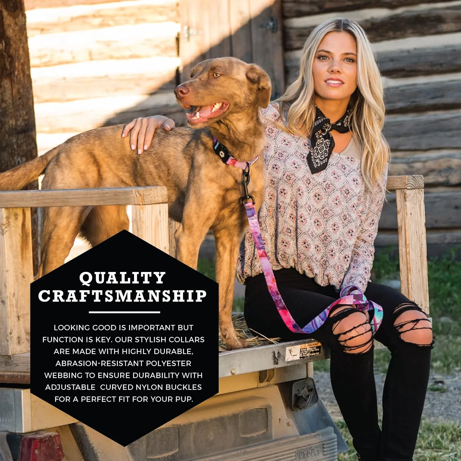 Wolfgang Heavy Duty, Adjustable Dog Collar with Quick Release Nylon Buckle for Walking & Training, Daydream Print, Small
