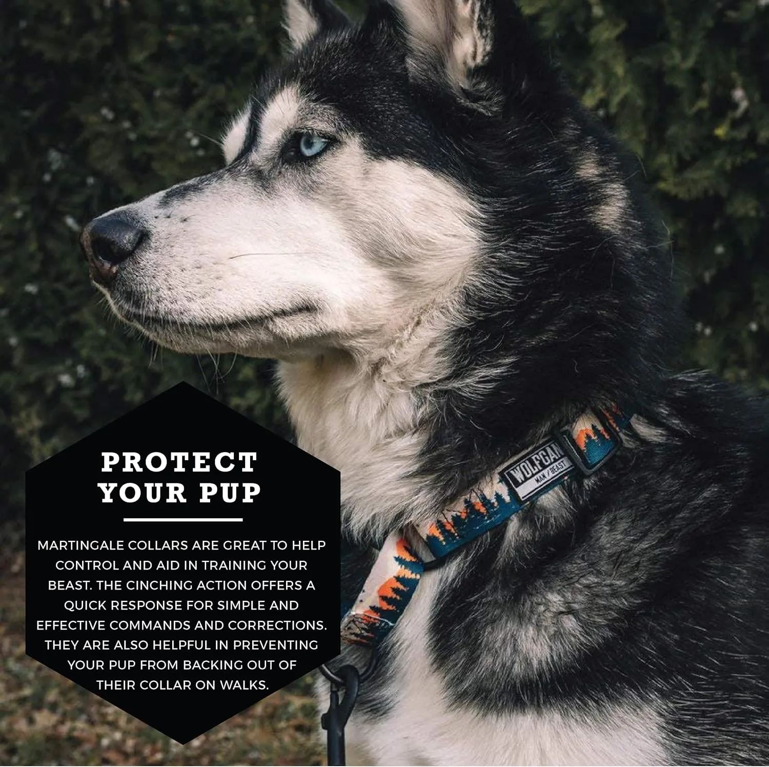 Wolfgang Heavy Duty Martingale Dog Collar with Quick Release Nylon Buckle for Walking & Training, Overland Print, Large